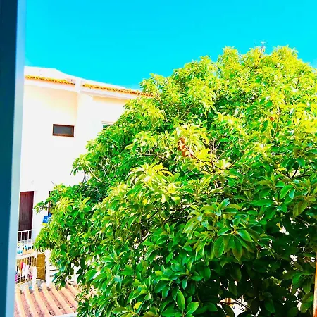 Seaside Guest house *